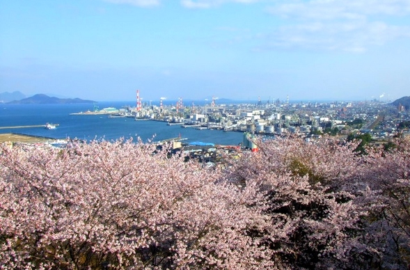 亀居公園からの絶景