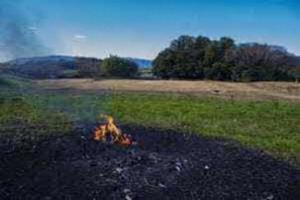 野焼き2