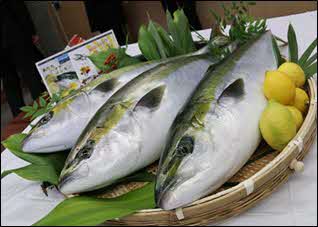 あたたハマチtoレモン