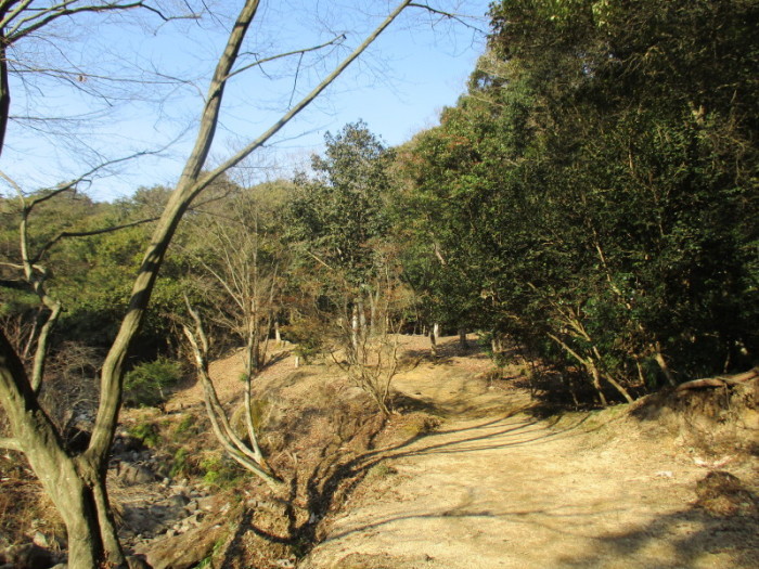 錦龍の滝