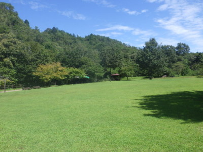 芝生公園の様子