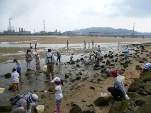 観察会の様子