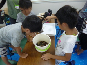 観察会の様子