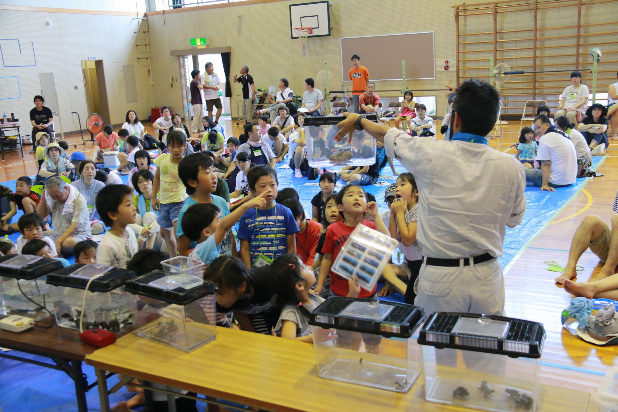 川の生きもの観察会過去の様子2